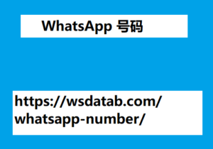 WhatsApp 号码